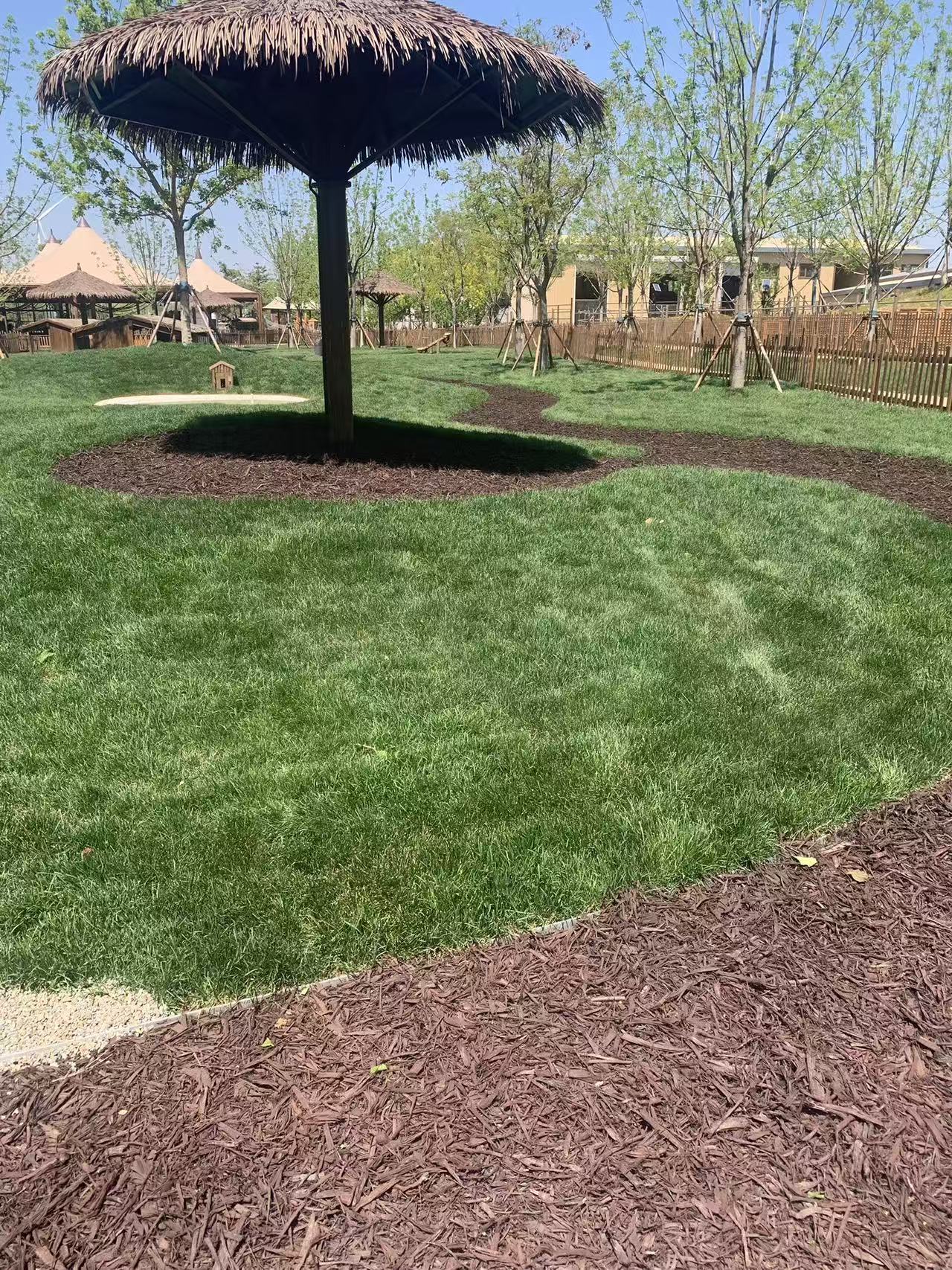 Colored organic mulch