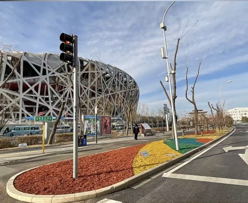 Colored organic mulch