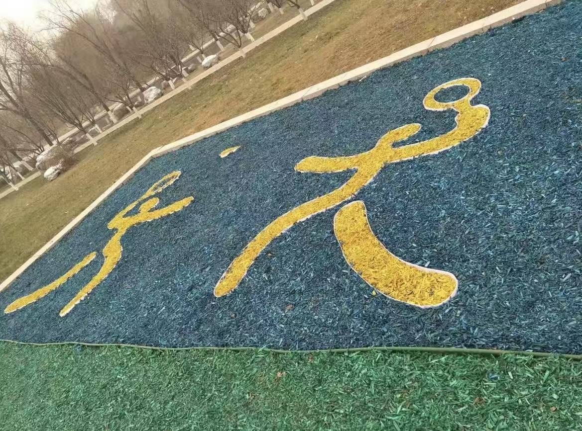 Colored organic mulch