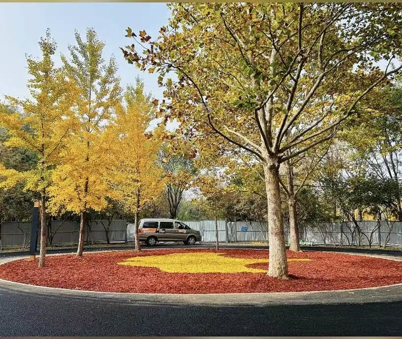 Colored organic mulch