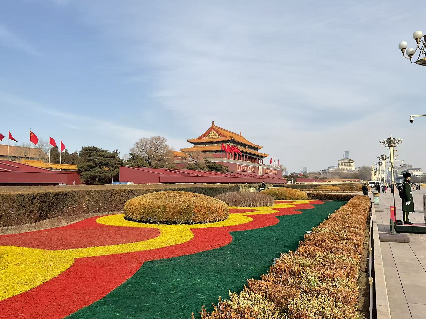 Colored organic mulch